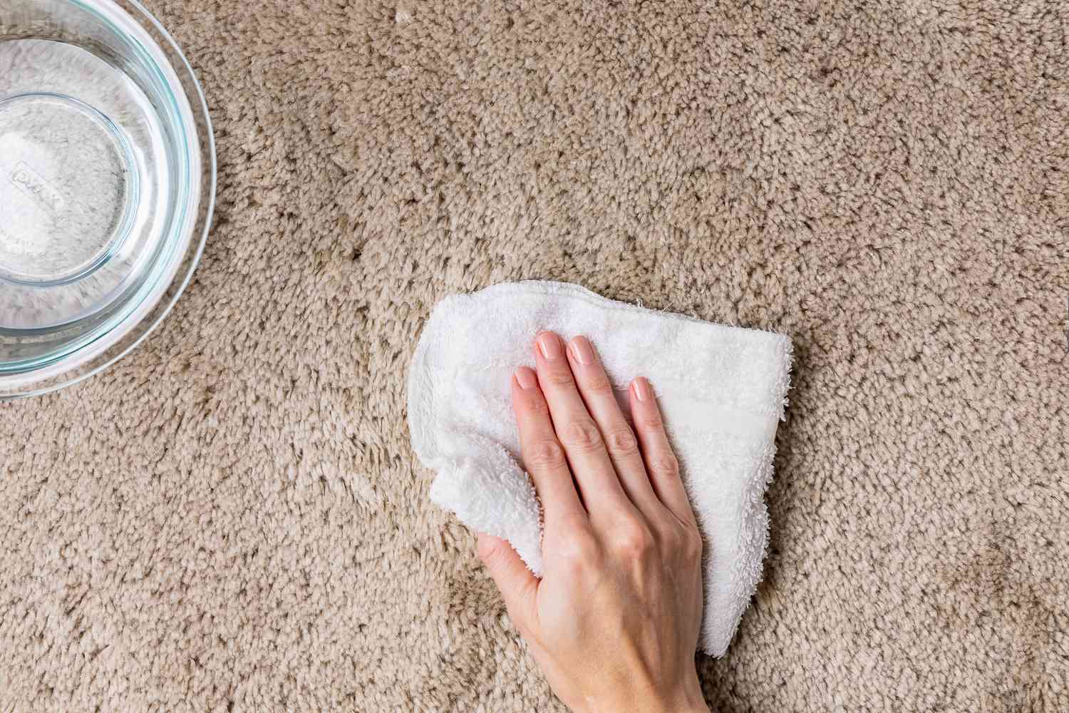Enxágue o carpete manchado com um pano umedecido em água