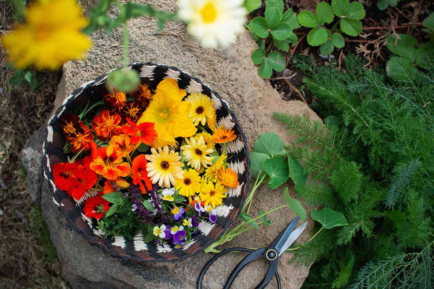 edible flowers collected in a garden