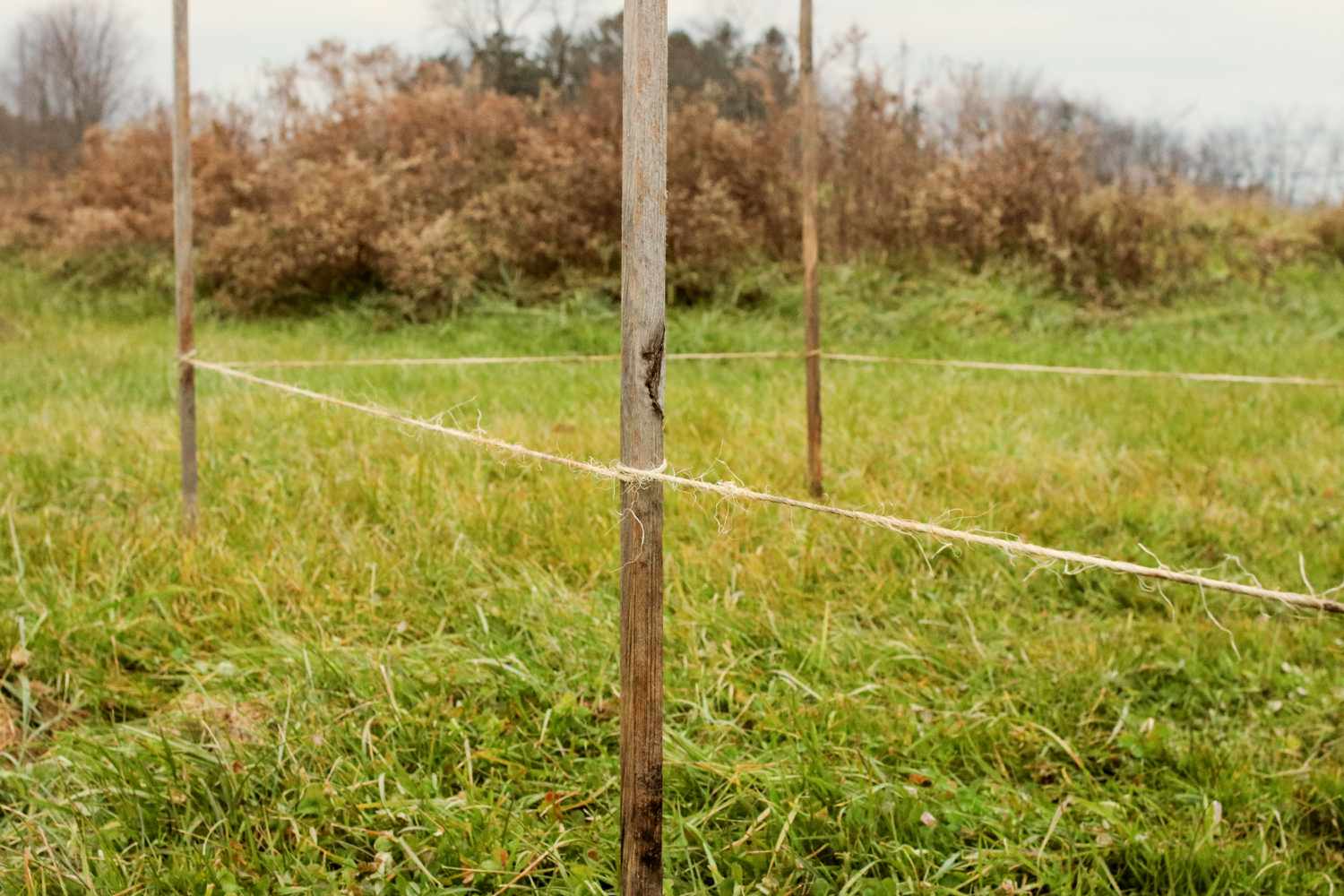 Lasagne-Gartengrenzen mit Schnur und Holzpfählen markiert