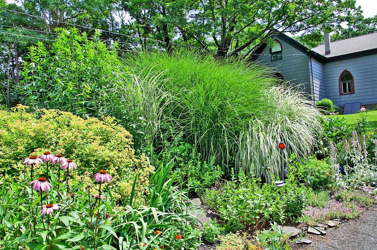 Ornamental Grasses Fill a Sloping Driveway