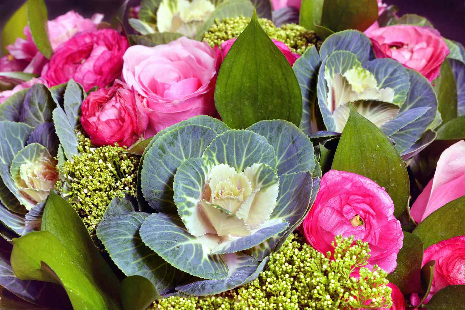 'Condor' cabbage in a flower arrangement