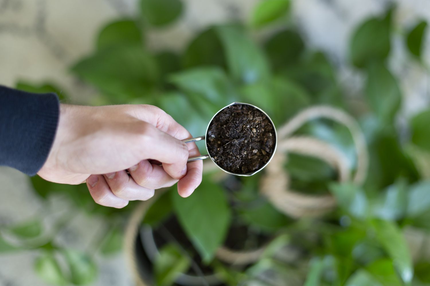 Person sucht Blumenerde für eine Hängepflanze aus