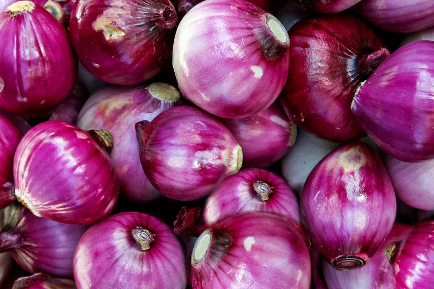 red onions