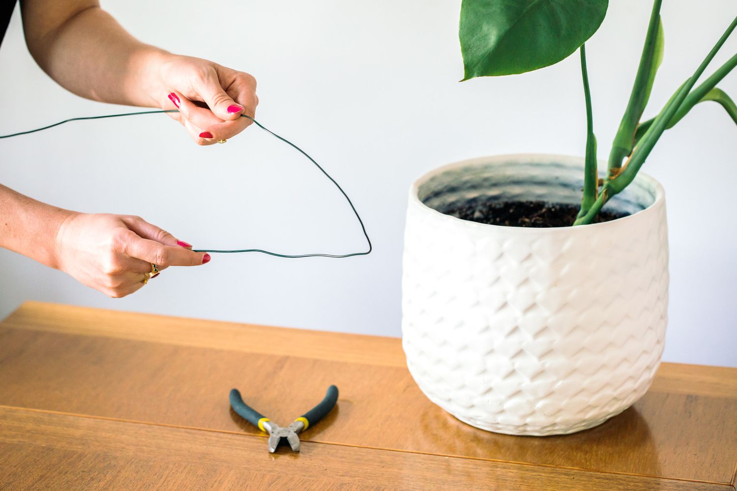 Rigid wire shaped as hoop with pliers next to houseplant