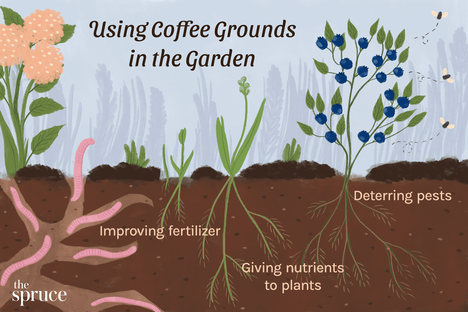 Uso de los posos del café para las plantas: El café en el compost y el abono
