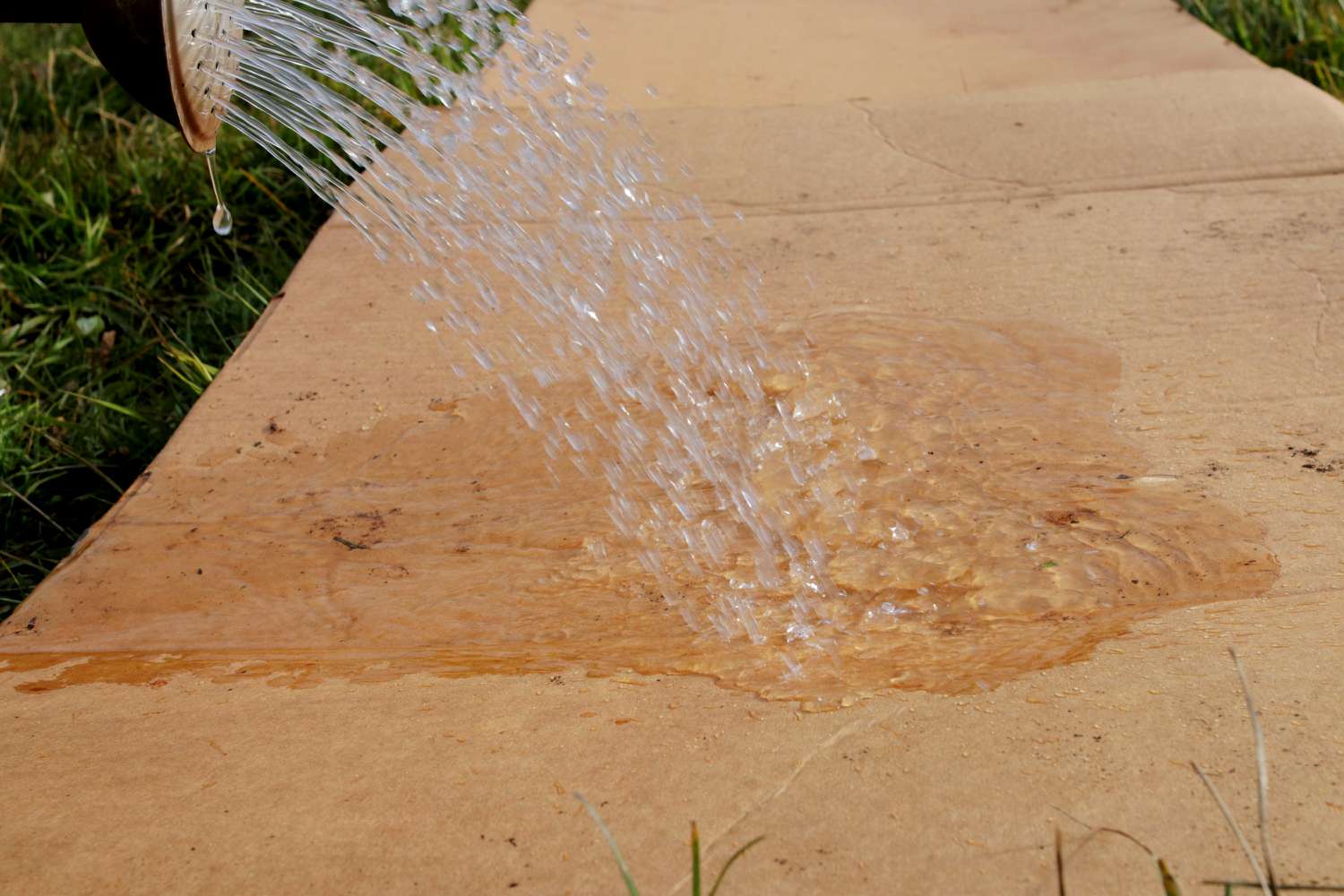 Jardín de lasaña ligeramente regado para que se descomponga