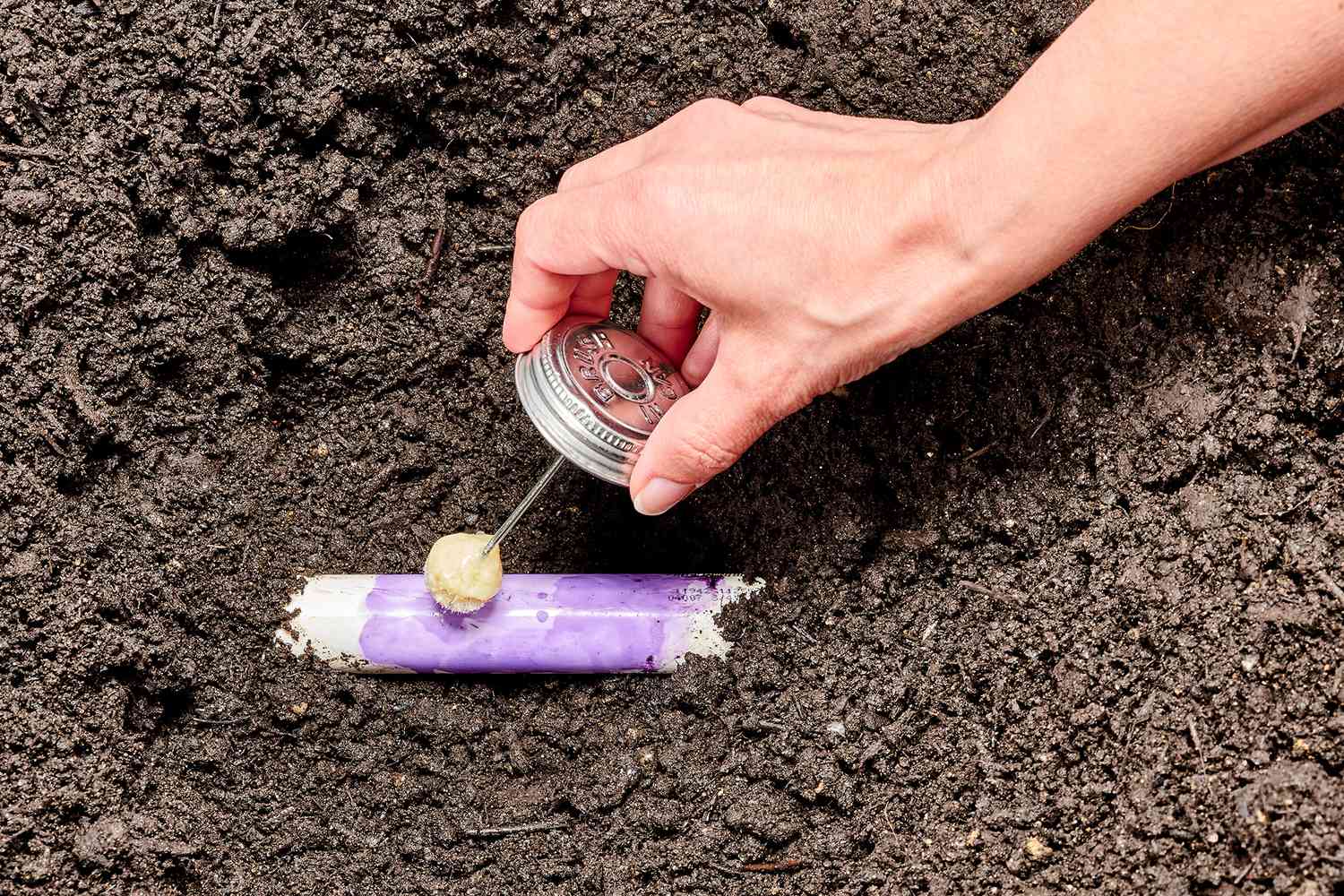 Purple PVC glue applied to PVC pipe in ground