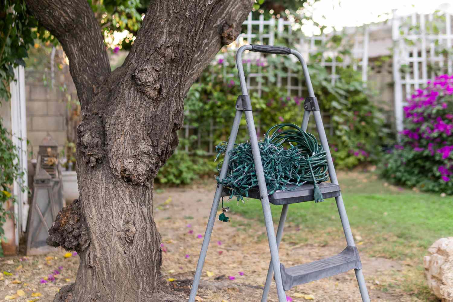 elementos para envolver luces alrededor de los árboles