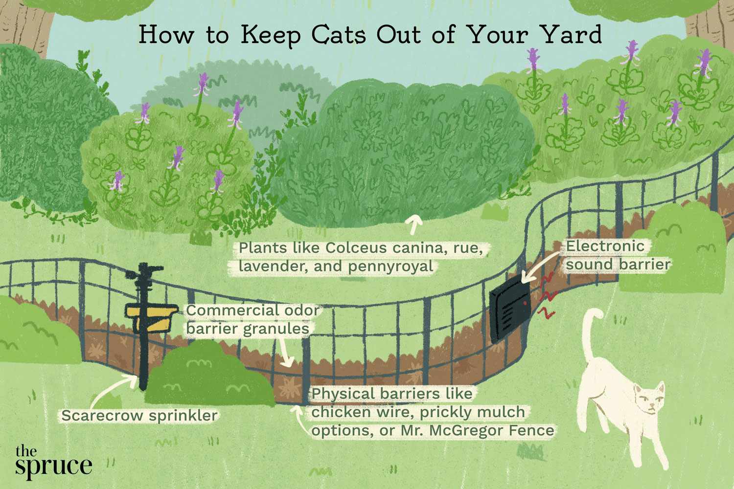 Wie Sie Katzen aus Ihrem Garten fernhalten