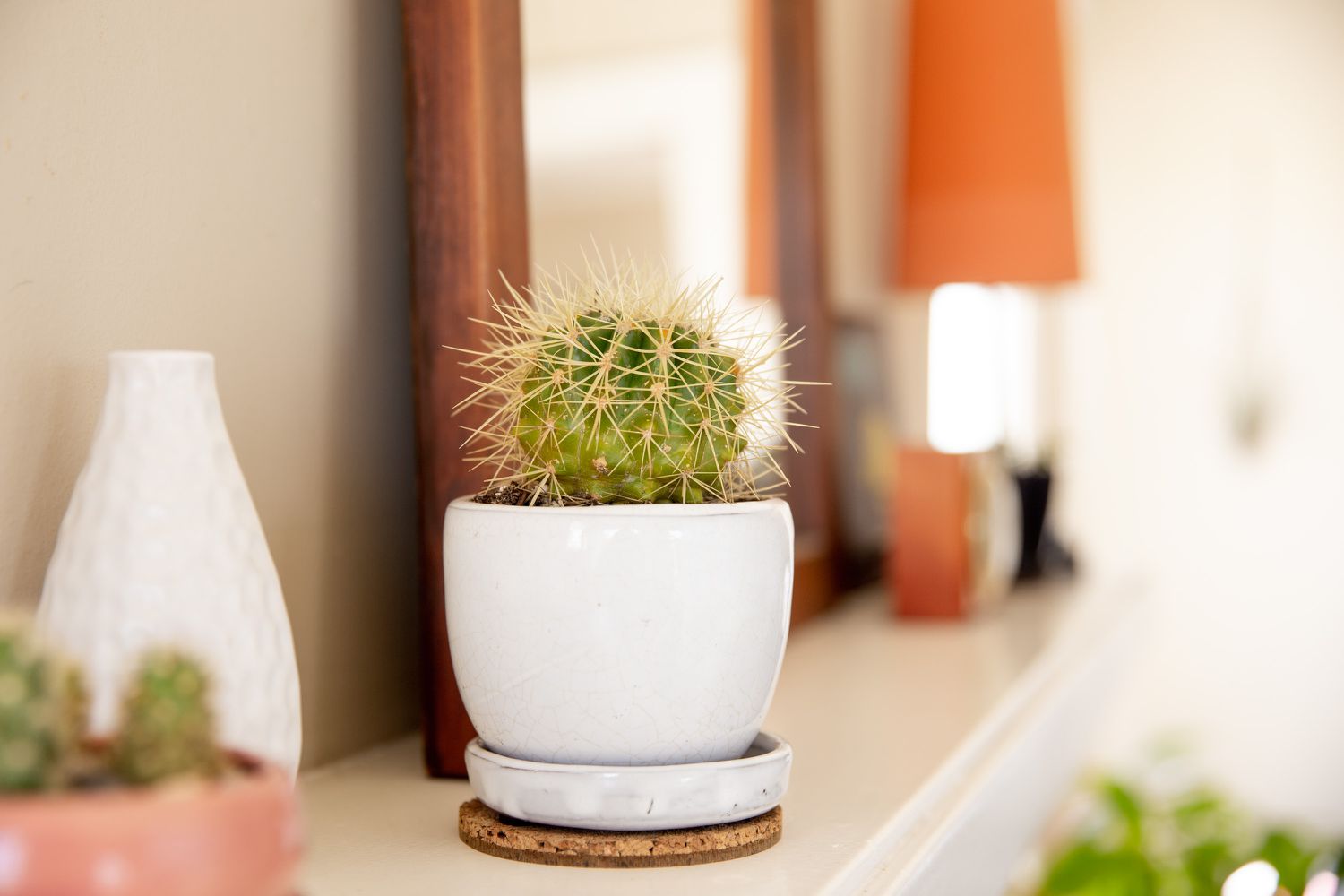 golden barrel cactus on a mantel