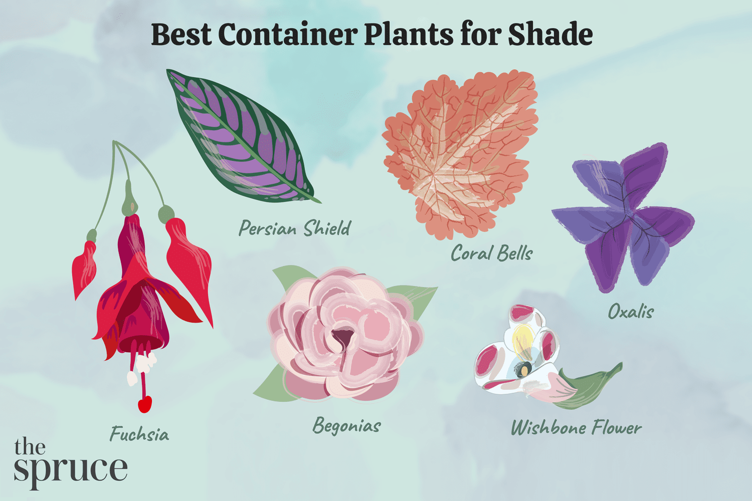 Beste Containerpflanzen für Schatten