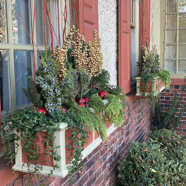 Jardinera con plantas de invierno y bayas doradas en una casa de ladrillo con contraventanas pintadas de terracota