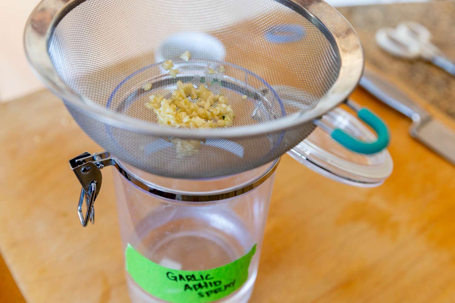 Chopped garlic being strained over glass container for aphid spray