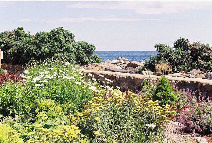 Soleado jardín perenne junto a playa rocosa