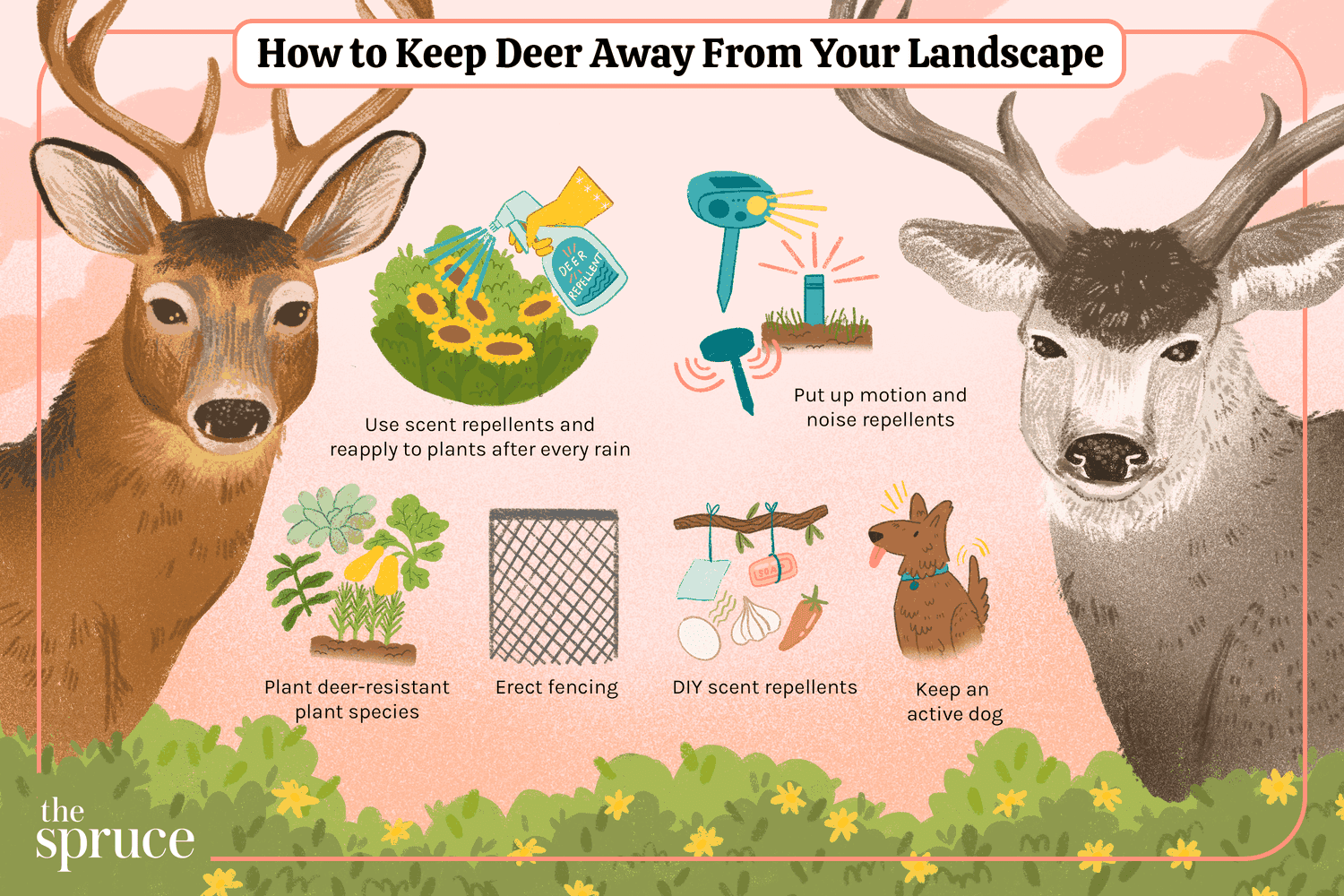 Die 5 besten Methoden, um Rehe endgültig aus Ihrem Garten fernzuhalten