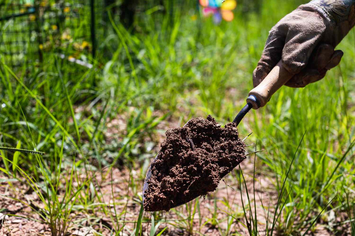 Como consertar um gramado excessivamente fertilizado