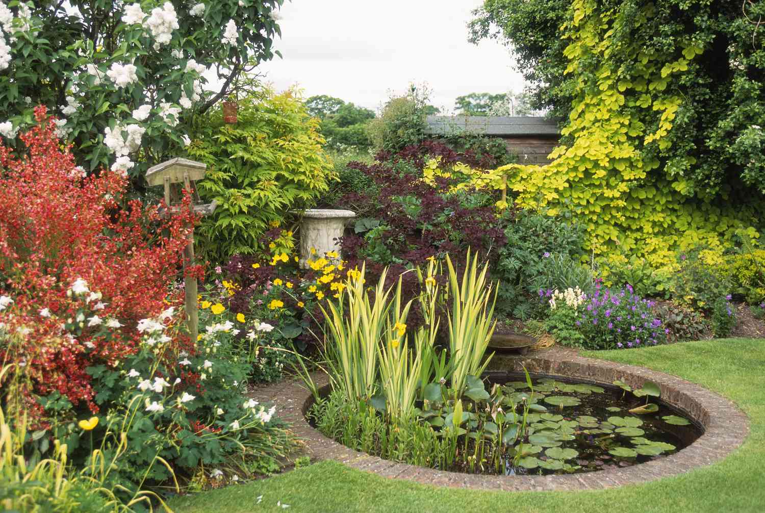 Kreisförmiger Wassergarten mit Seerosen, Sträuchern und Stauden.