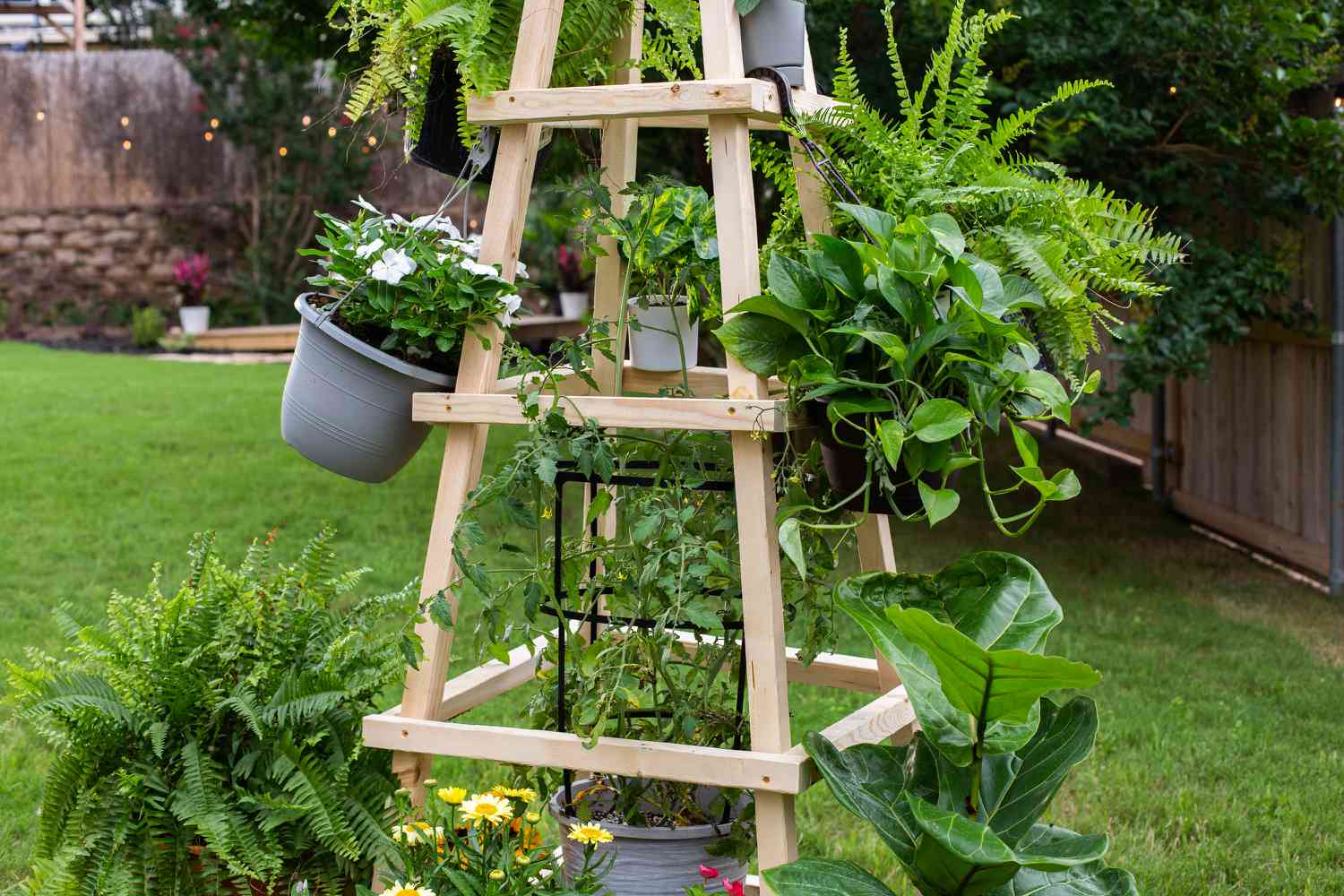 Treliça alta de obelisco de madeira DIY com vasos plantados pendurados e luminária ao redor