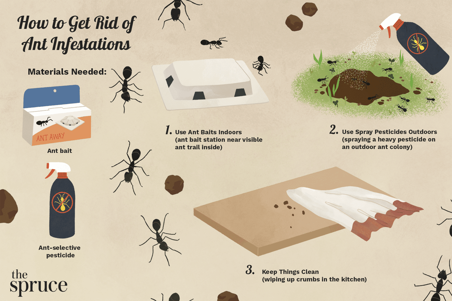 Wie man Ameisen im Haus loswird