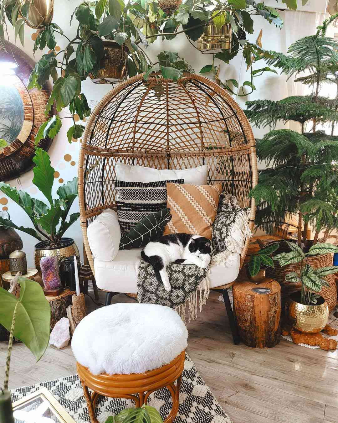 Selva de plantas de interior com um assento suspenso e um gato