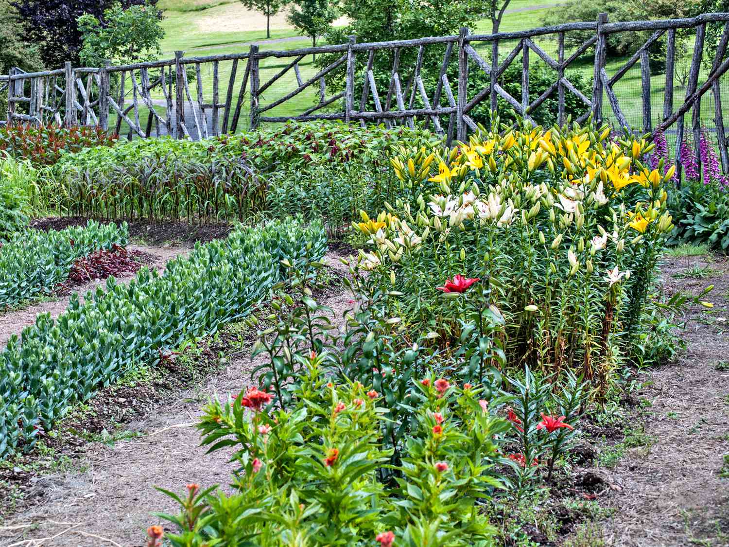 Pflanzt einen Schnittgarten