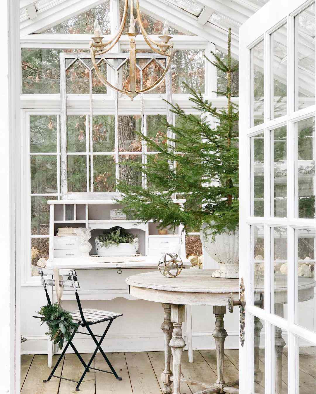 Invernadero blanco cerrado por ventana con mesa y silla antiguas con árbol de hoja perenne en maceta