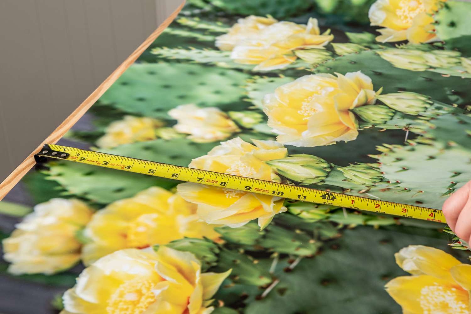 Foto von Kaktus und gelben Blumen beim Ausmessen