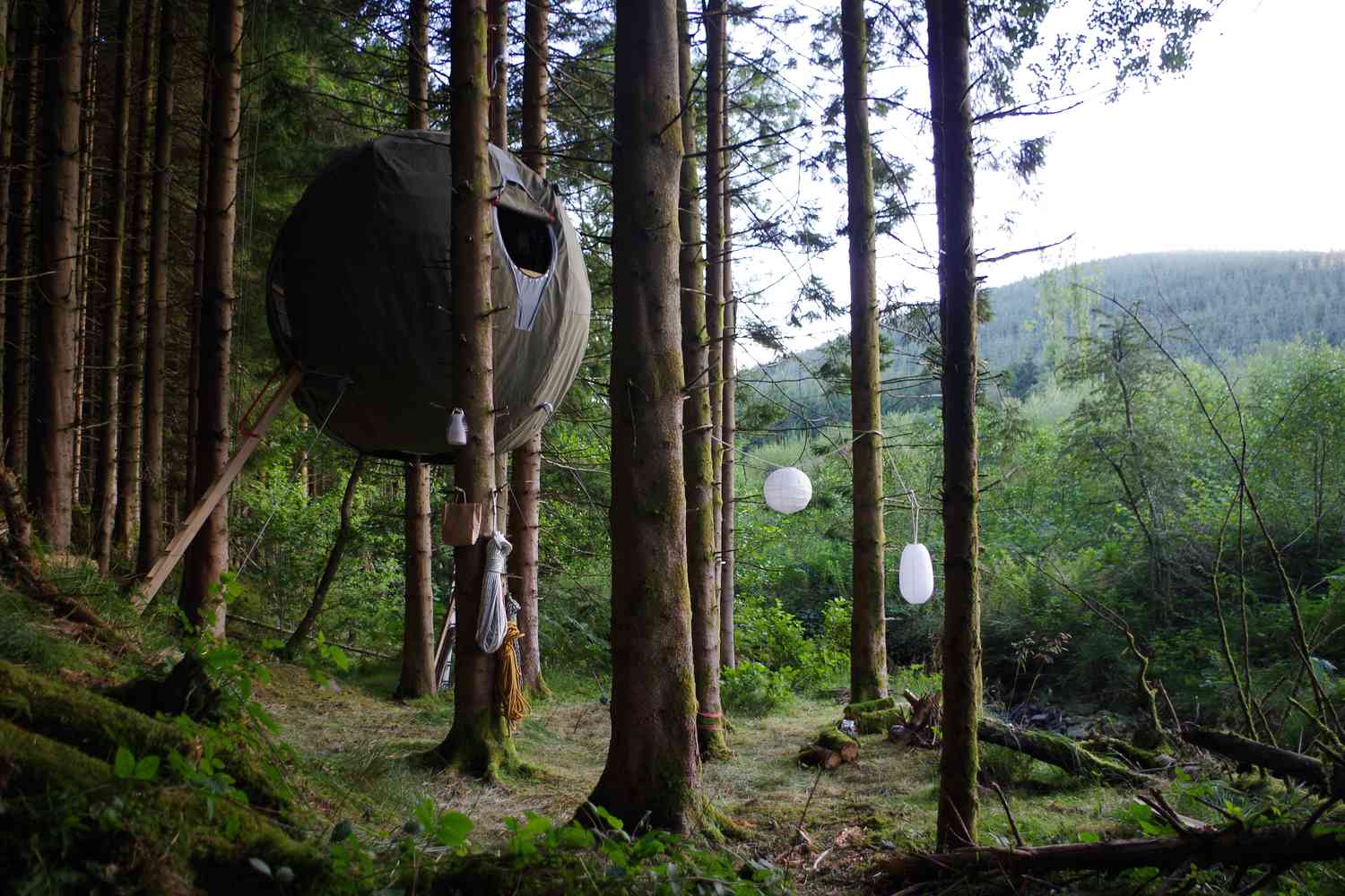 Structure en forme de sphère suspendue dans les arbres au-dessus du sol de la forêt
