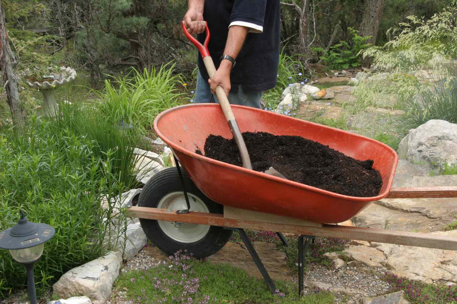 Lehmige Böden: Was sie sind und warum Gärtner sie lieben