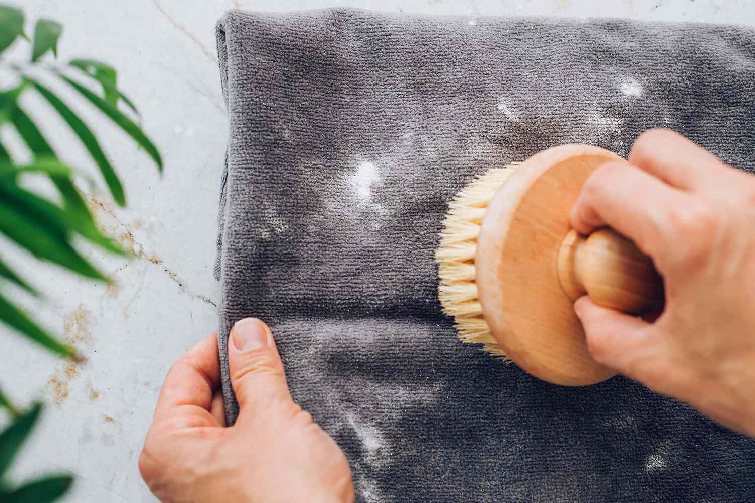 Cepillo de cerdas suaves pasando suavemente sobre esporas de moho en tejido sólo para limpieza en seco