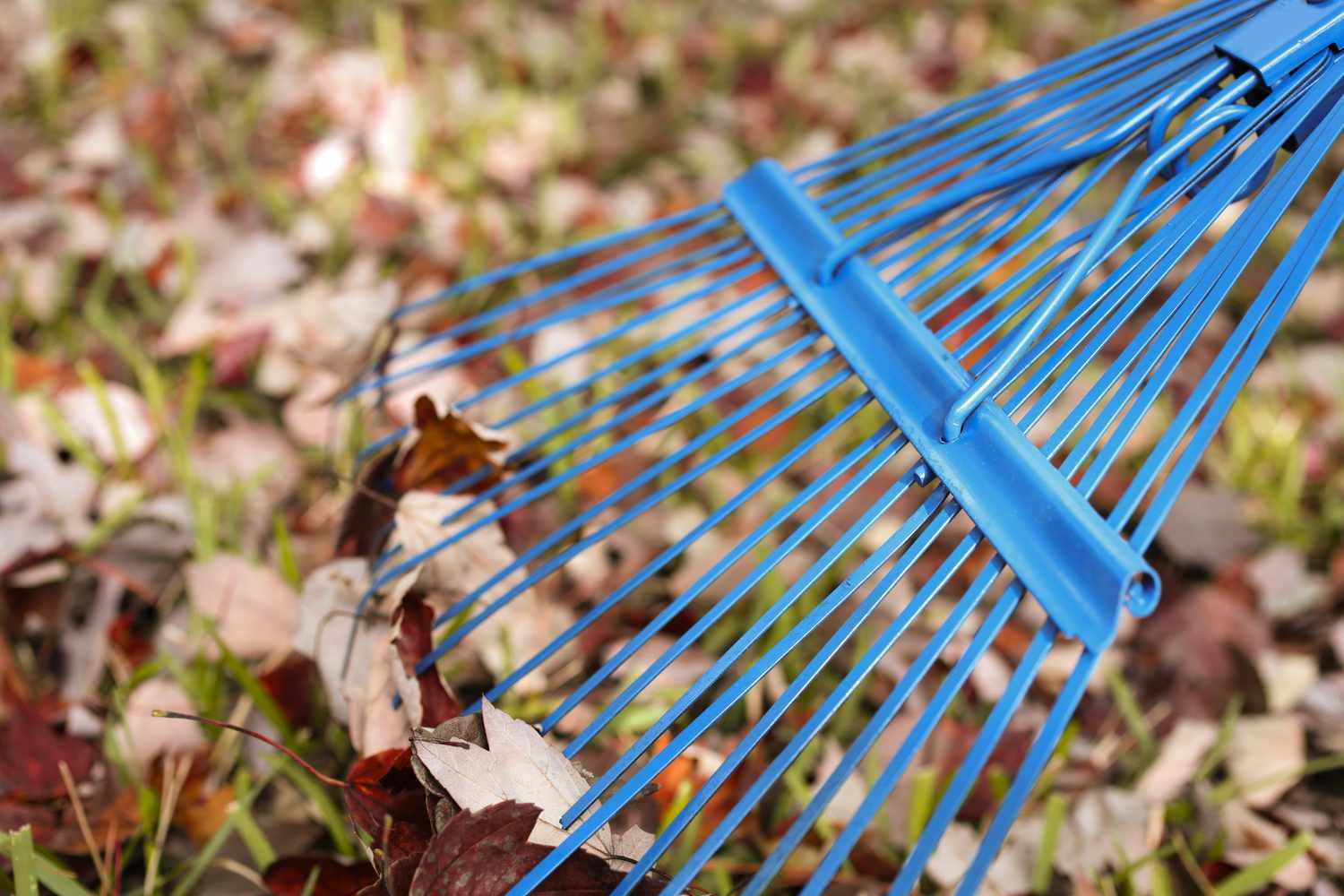 Rastrillo de hojas de metal azul.