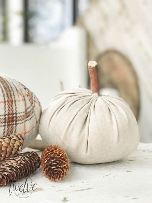 Una calabaza de terciopelo y piñas