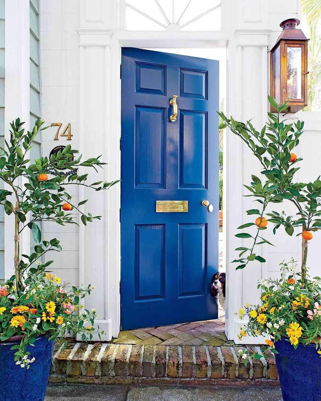Eine königsblaue Haustür umgeben von Zitruspflanzen