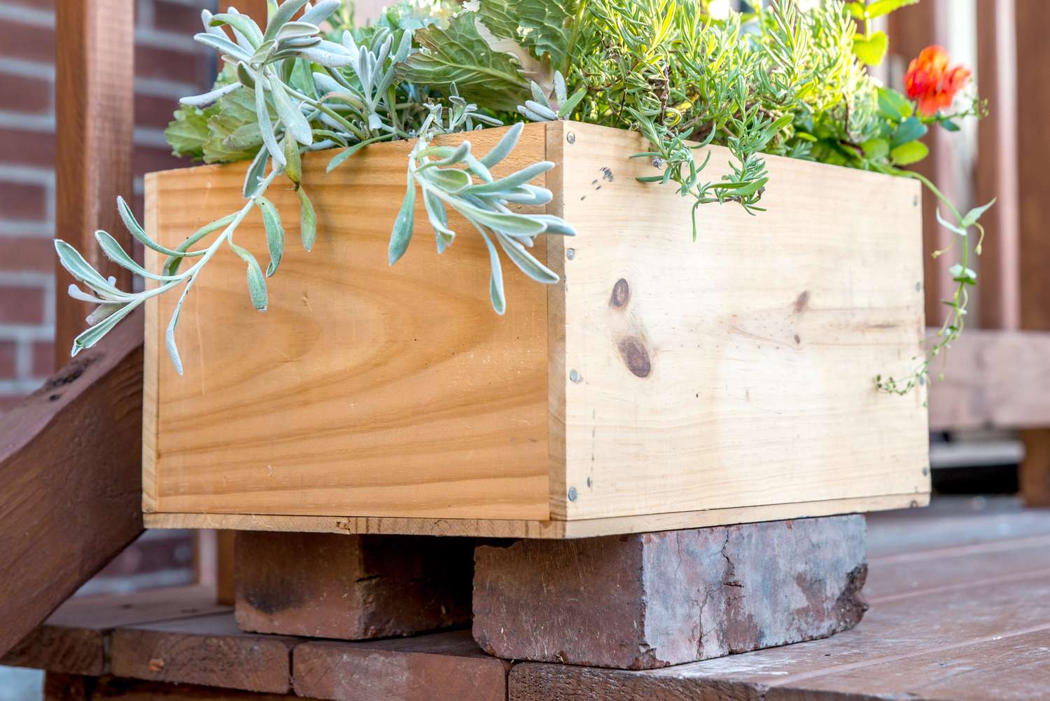 DIY wooden container planter with plants propped up on bricks