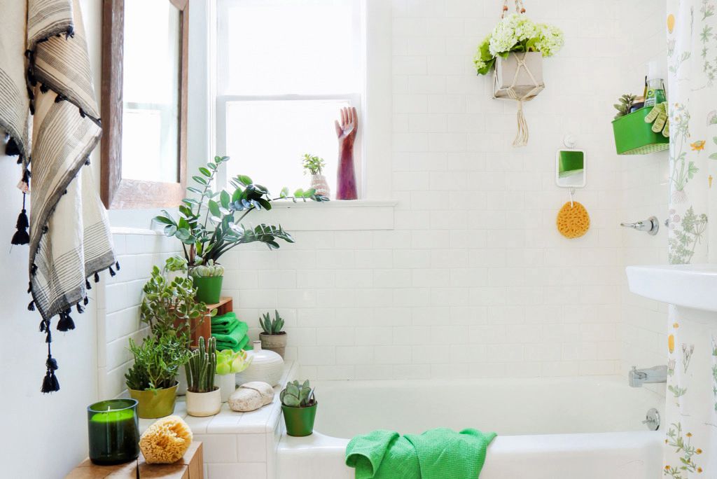 Pflanzen zur Dekoration eines kleinen Badezimmers