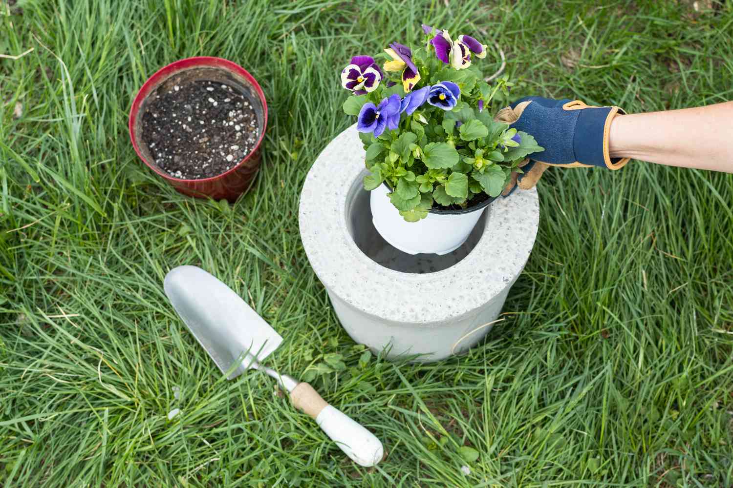 Pflanze mit lila Petunienblüten im DIY-Pflanzgefäß
