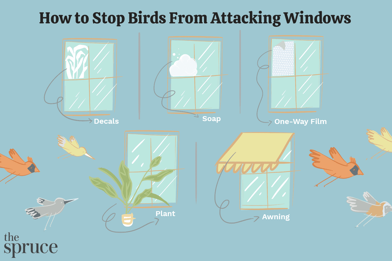 Wie man Vögel davon abhält, Fenster anzugreifen