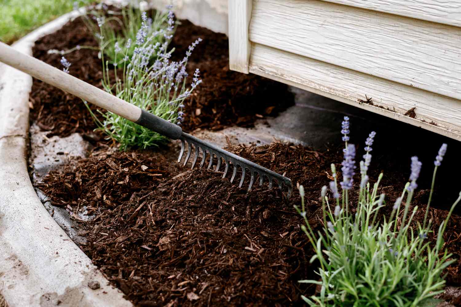 adding mulch to the flower bed