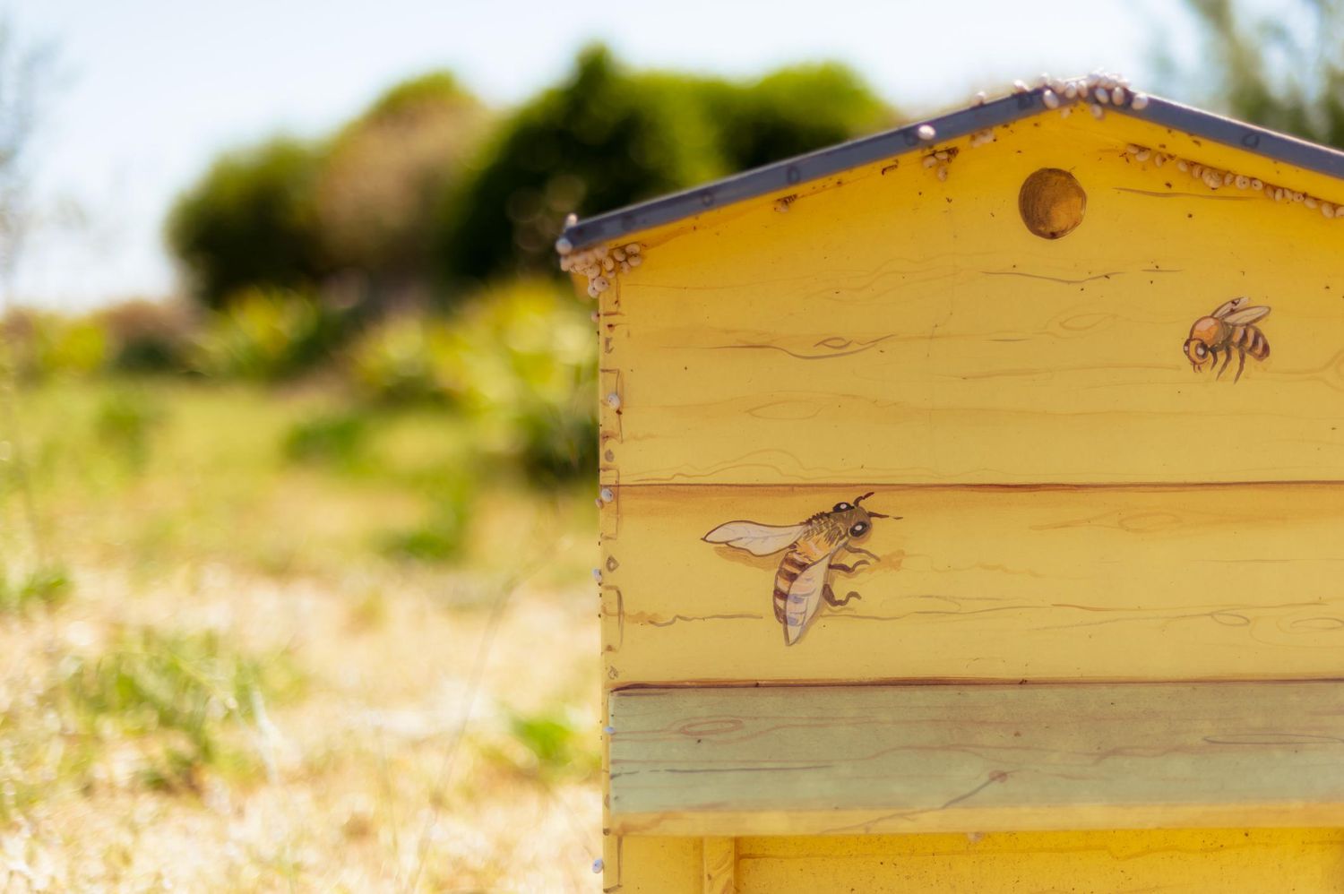 Hölzerner Bienenstock mit gezeichneten Bienen auf der Vorderseite