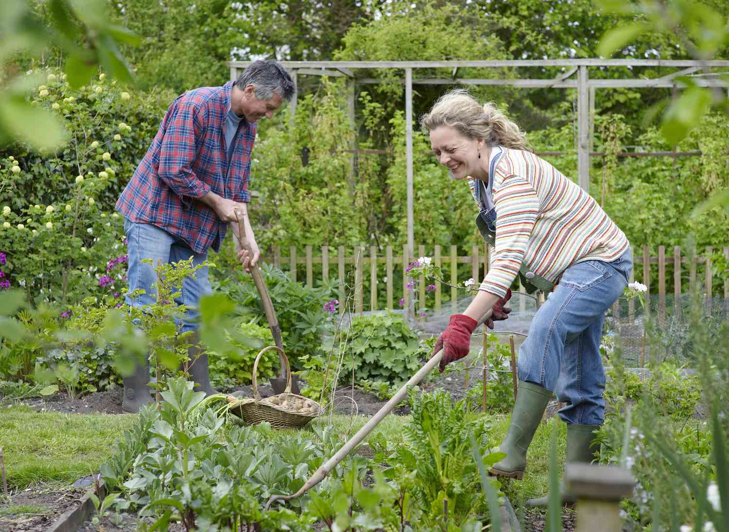 Couple gardening together.