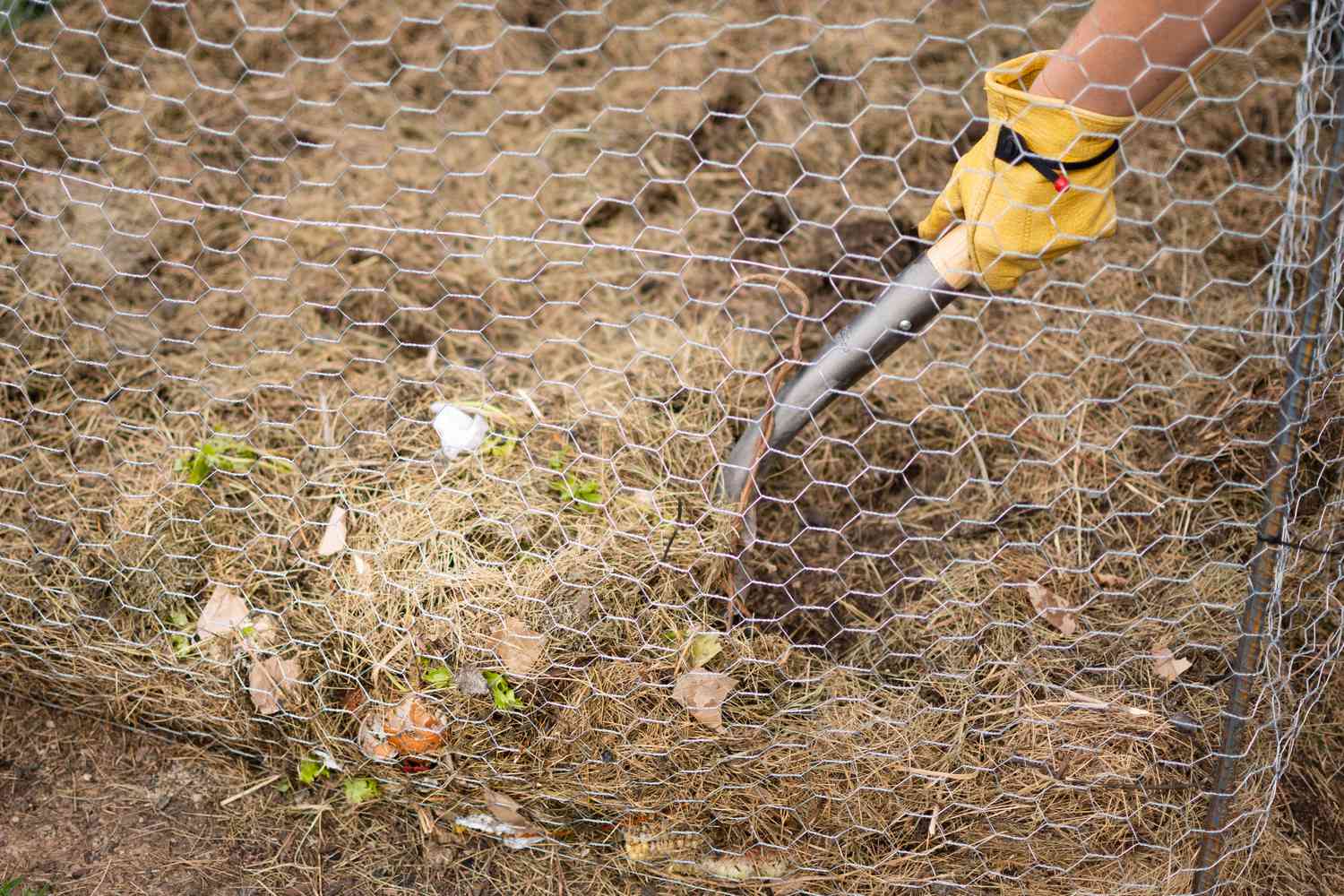 Komposthaufen wird mit der Gartenschaufel hinter dem Maschendrahtzaun gewendet