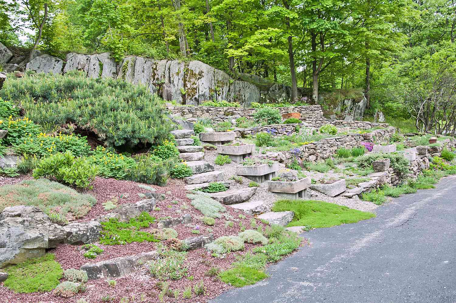 Utiliza una ladera rocosa para crear un jardín único