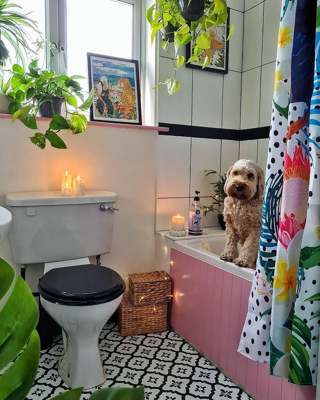 Schwarz-weißes Badezimmer mit rosa Badewannenverkleidung und Hund in der Badewanne