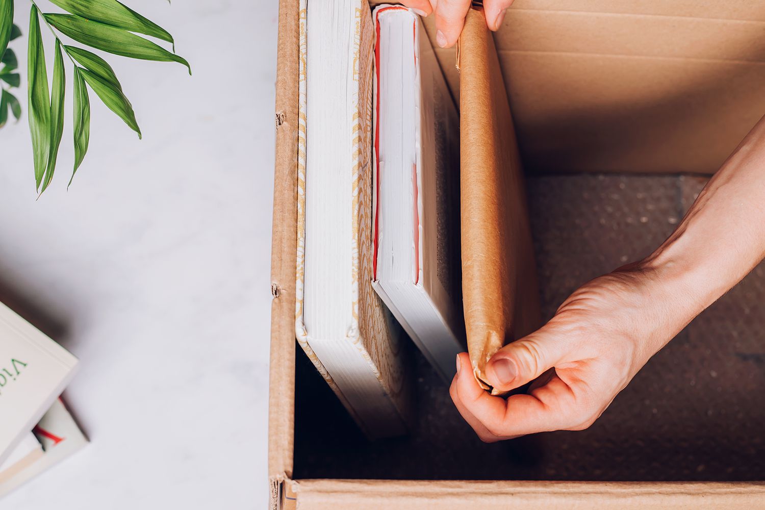 Hardcover-Bücher aufrecht verpackt im Karton