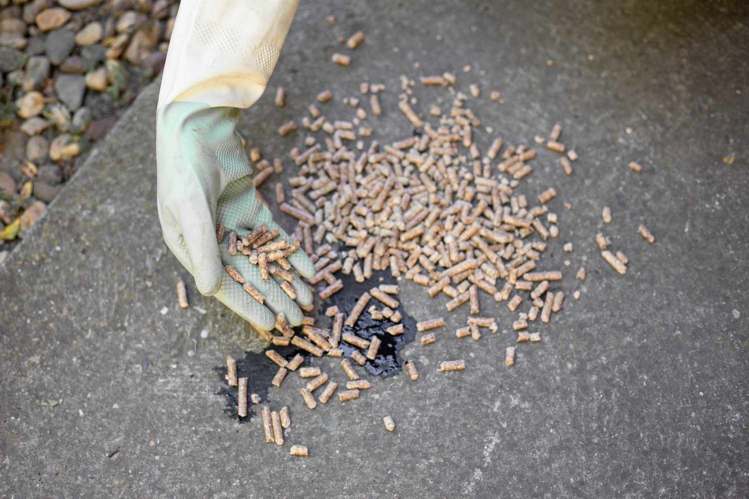 Absorbierende Pellets auf schwarzem Ölfleck auf Beton verteilt