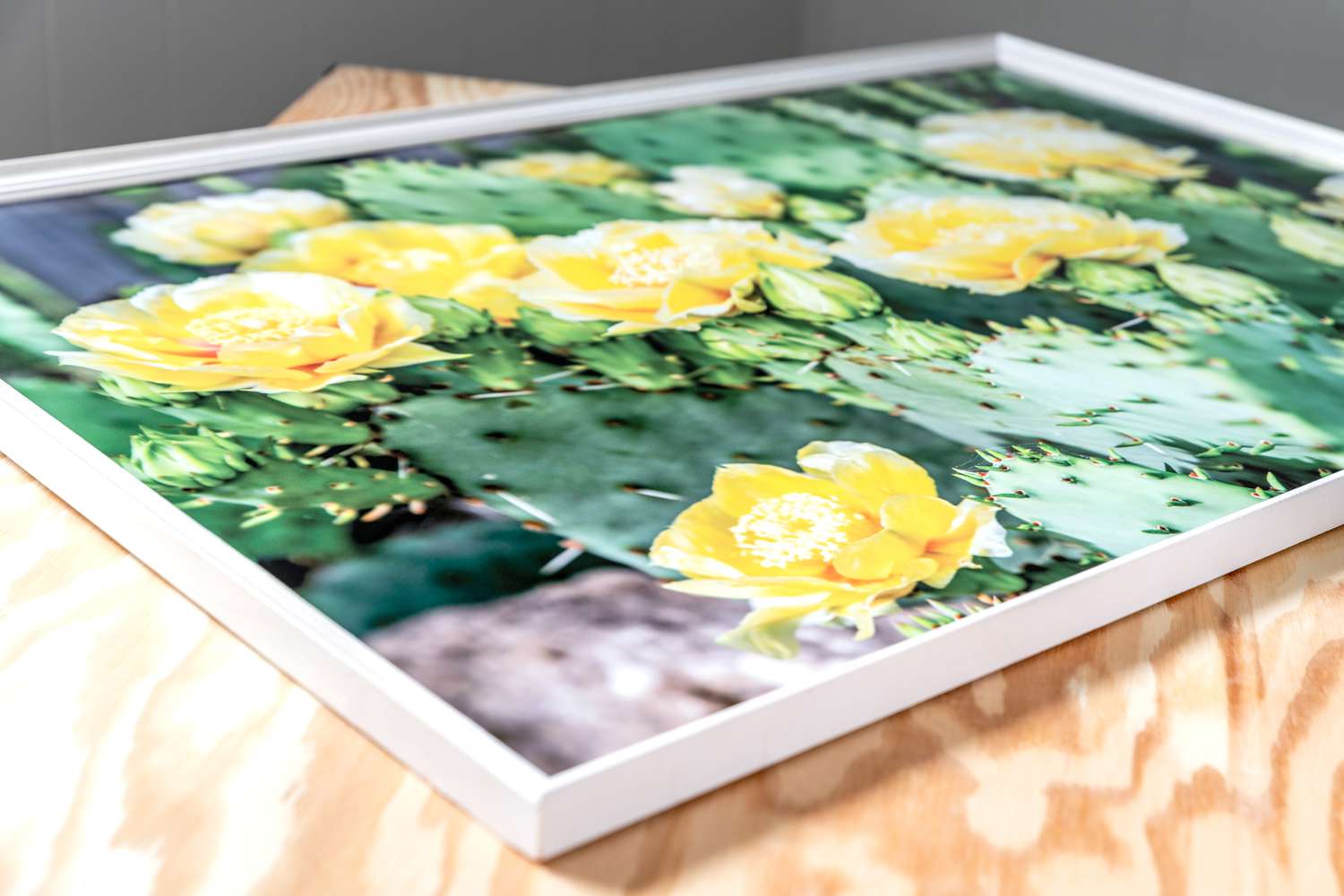 Großes Bild mit Kaktus und gelben Blumen im DIY-Rahmen
