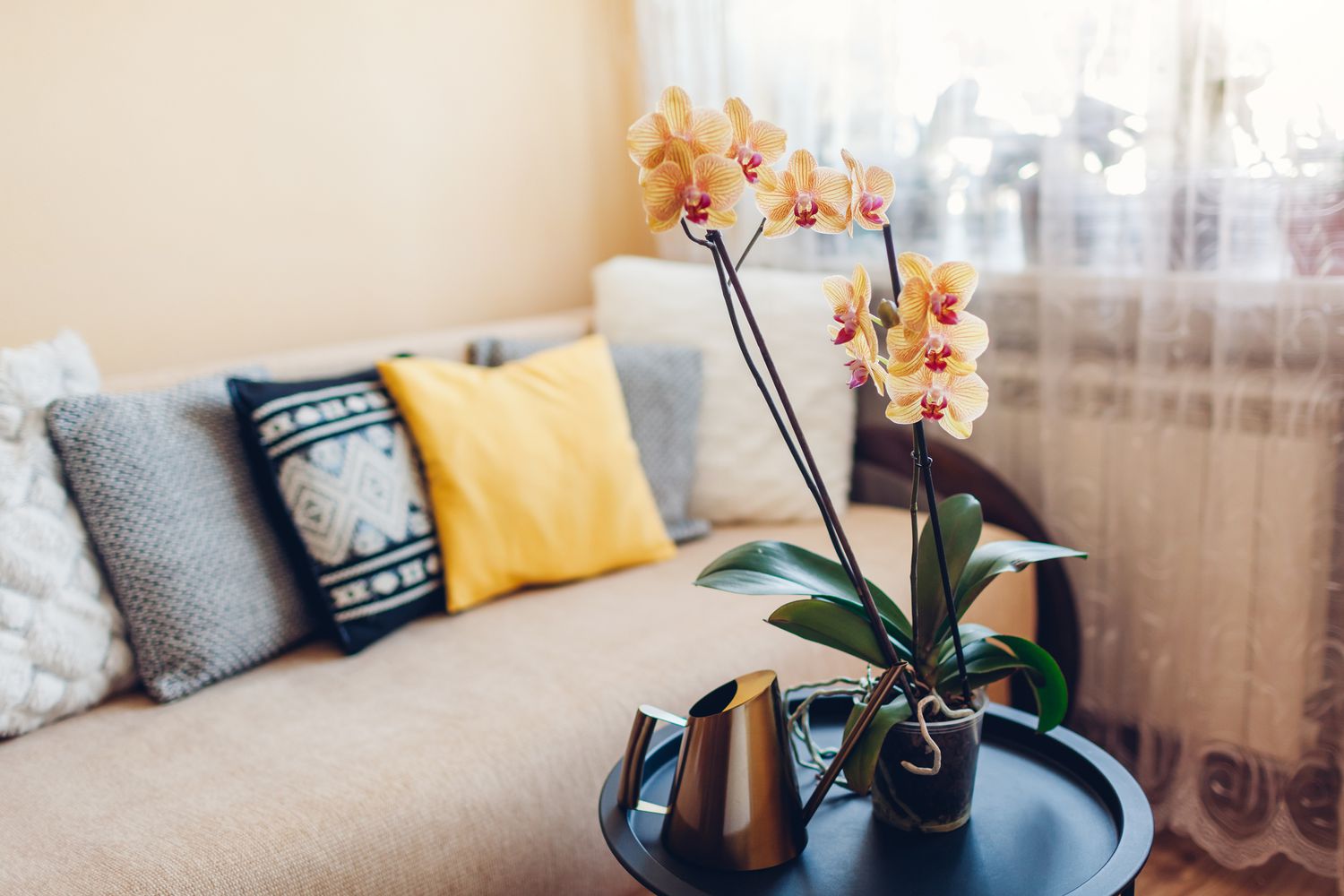 Interieur des Wohnzimmers. Gelbe, blühende Orchidee auf dem Couchtisch mit Gießkanne