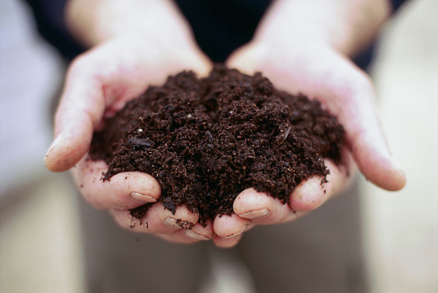 Choisir le compost avec soin pour le terreautage de la pelouse