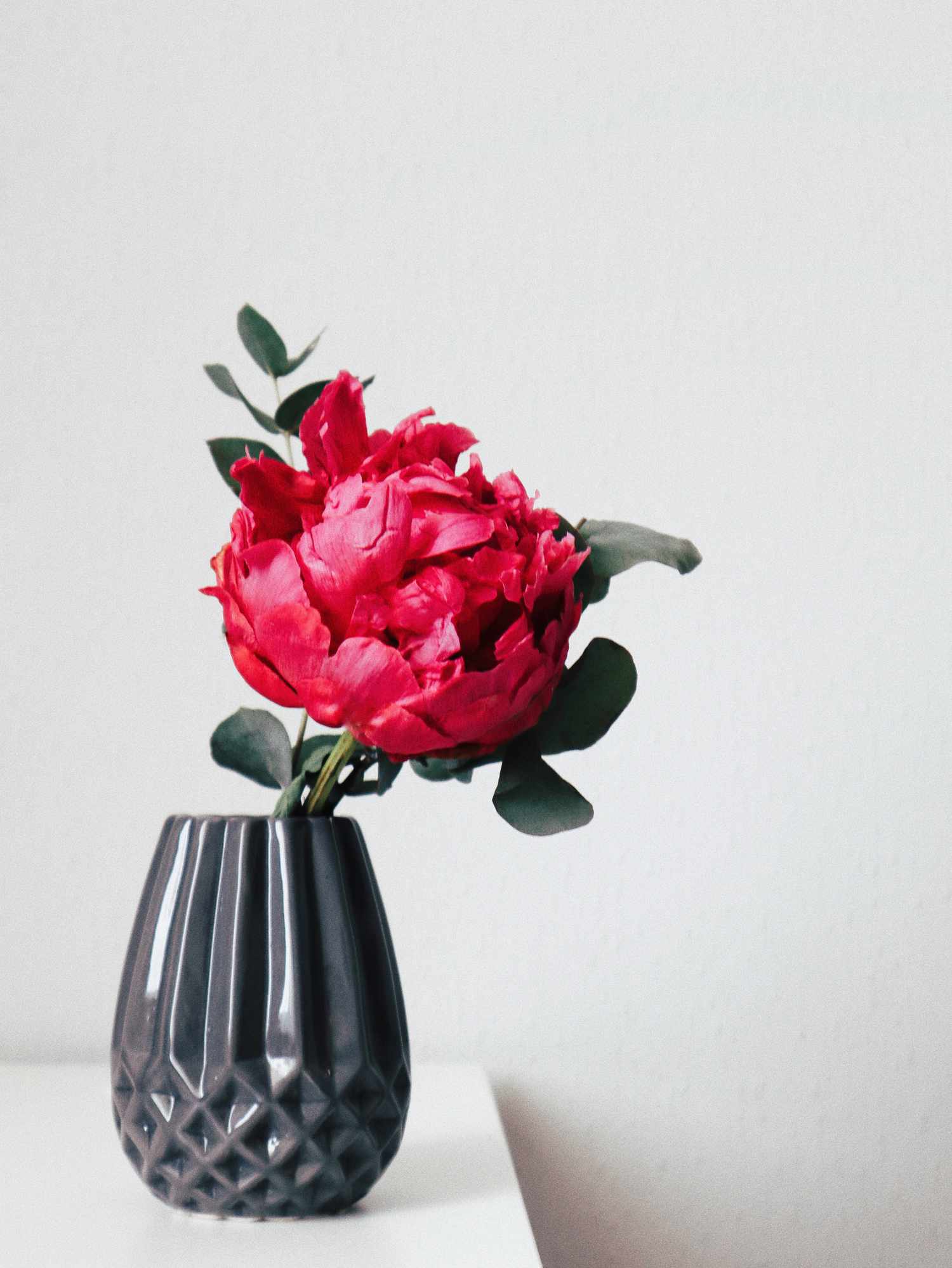 rote Pfingstrose in einer grauen Vase auf einem weißen Tisch