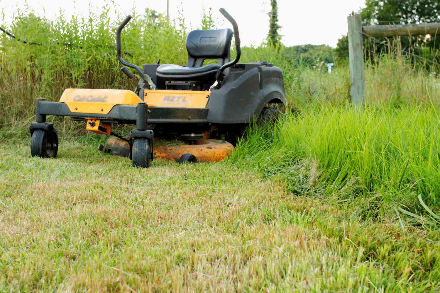 Größter Fehler bei der Rasenpflege: Gras zu kurz schneiden